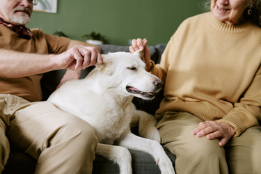 Similar image 22531446