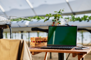 Similar image 22527949