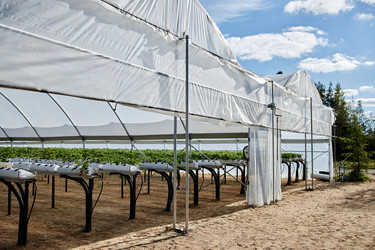 Similar image 22527945