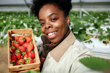 Similar image 22527934