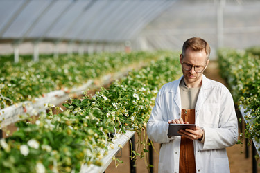 Similar image 22527791