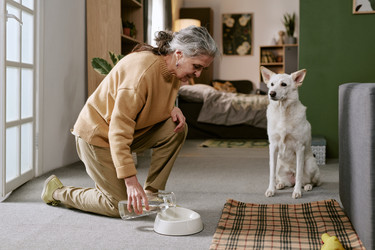 Similar image 22531491