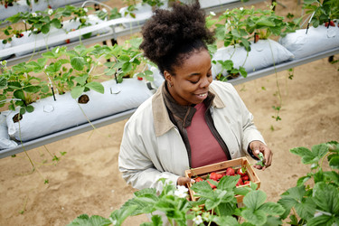 Similar image 22527912