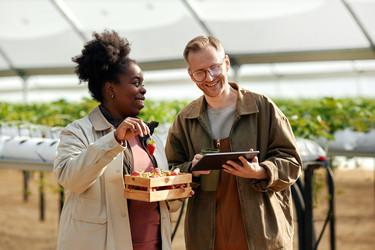 Similar image 22527943