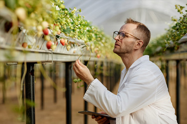 Similar image 22527970