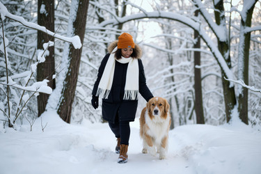 Similar image 22529064