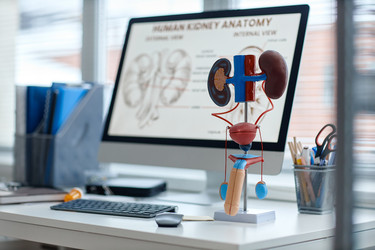 Similar image 22614378