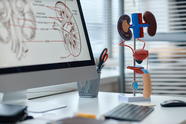 Similar image 22614381