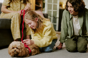 Similar image 22615587