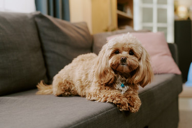 Similar image 22615546