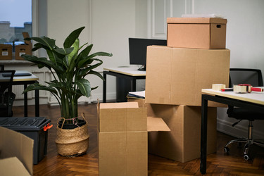 Similar image 22616461