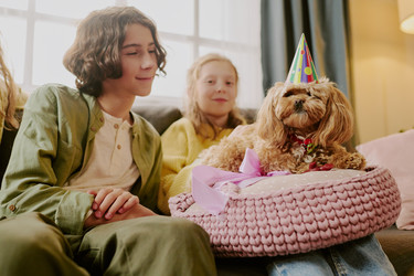 Similar image 22615619