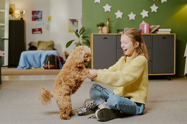 Similar image 22615607