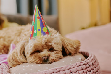 Similar image 22615620