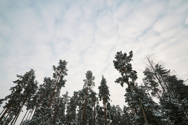 Similar image 22617066