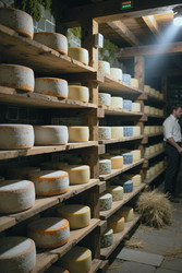 Similar image 22603536