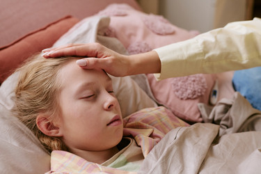 Similar image 22616162