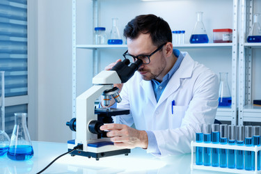 Similar image 22604086