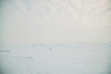 Similar image 22617012