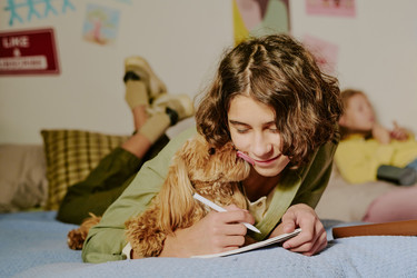 Similar image 22615553