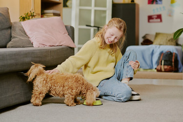 Similar image 22615609