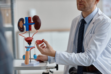 Similar image 22614398