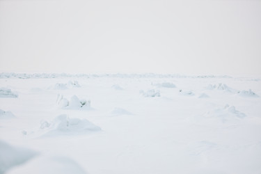 Similar image 22617038