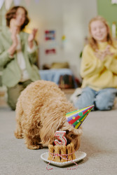 Similar image 22615625