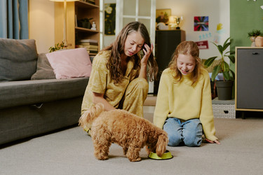 Similar image 22615608