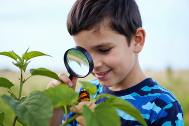 Similar image 22604882