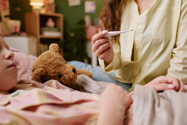 Similar image 22616155