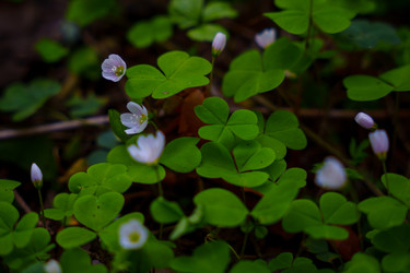 Similar image 22595023