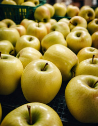 Similar image 22617301