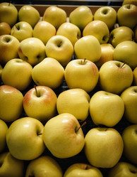 Similar image 22617436