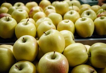 Similar image 22617590