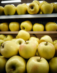 Similar image 22617723