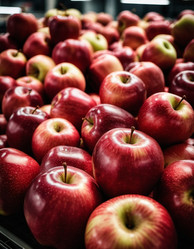 Similar image 22617302