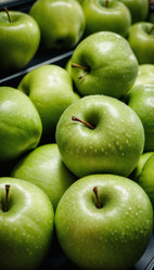 Similar image 22617437