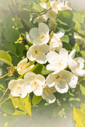 Similar image 22645933