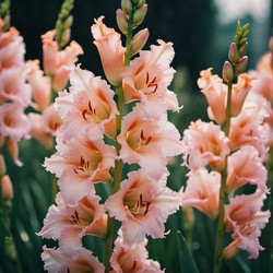 Similar image 22617471