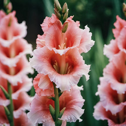 Similar image 22617767