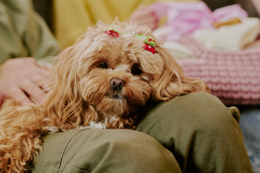 Similar image 22615617