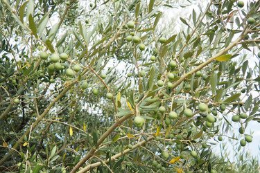 Similar image 22617425