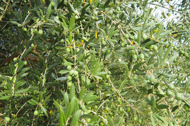 Similar image 22617575