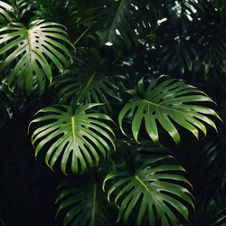 Similar image 22617426