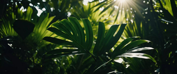 Similar image 22617591