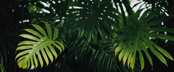 Similar image 22617725