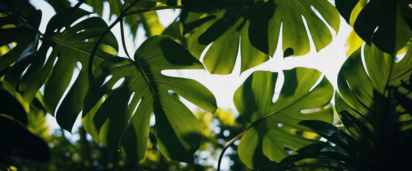 Similar image 22617846