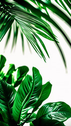 Similar image 22617592