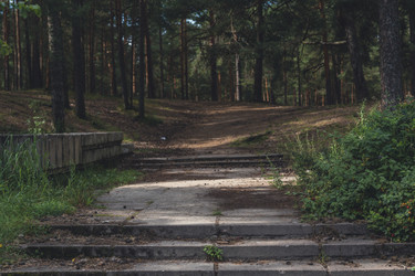 Similar image 22601253